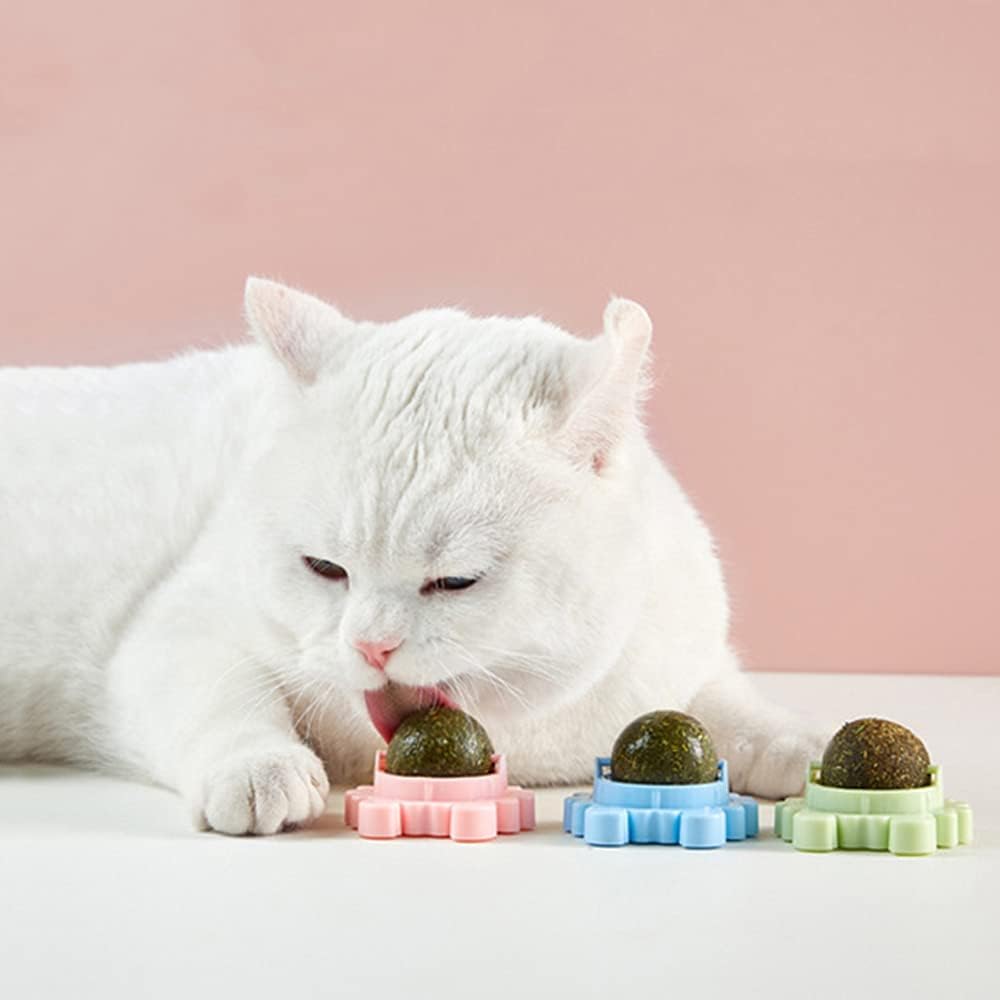 KFX-4420413 Catnip Wall Ball Cat Toy for Chewing and Teeth Cleaning - Removable Edible Cat Treats for Indoor Fun