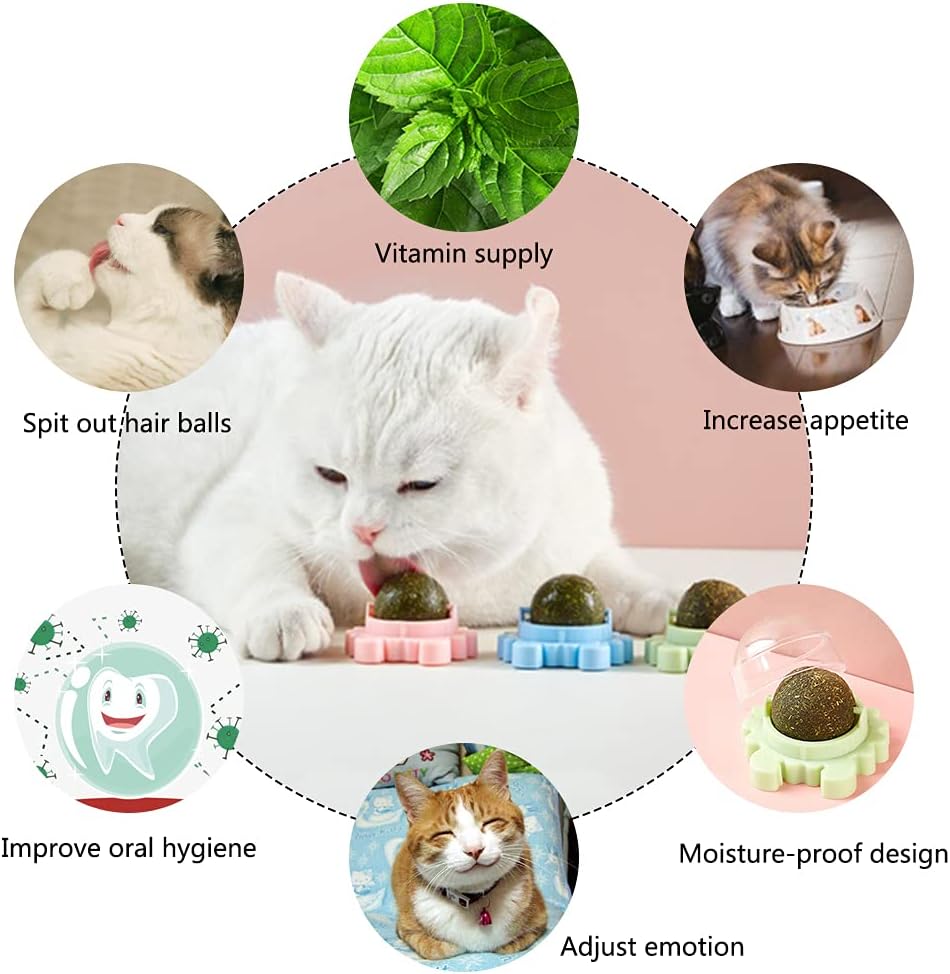 KFX-4420413 Catnip Wall Ball Cat Toy for Chewing and Teeth Cleaning - Removable Edible Cat Treats for Indoor Fun