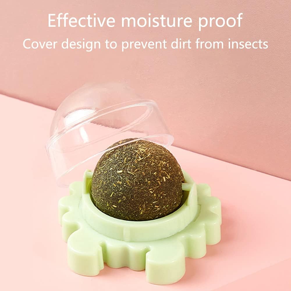 KFX-4420413 Catnip Wall Ball Cat Toy for Chewing and Teeth Cleaning - Removable Edible Cat Treats for Indoor Fun