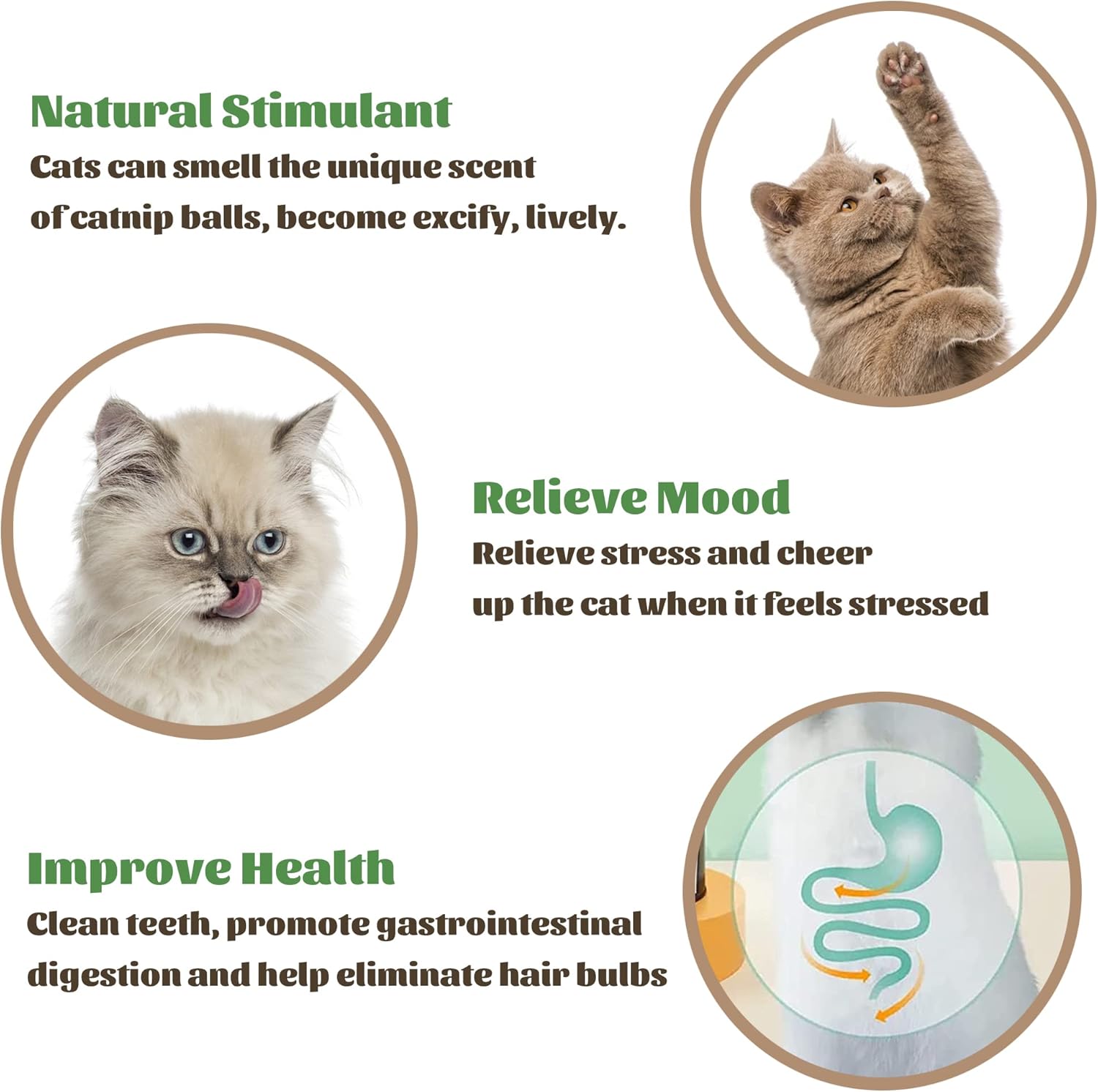 KFX-4420413 Catnip Wall Ball Cat Toy for Chewing and Teeth Cleaning - Removable Edible Cat Treats for Indoor Fun
