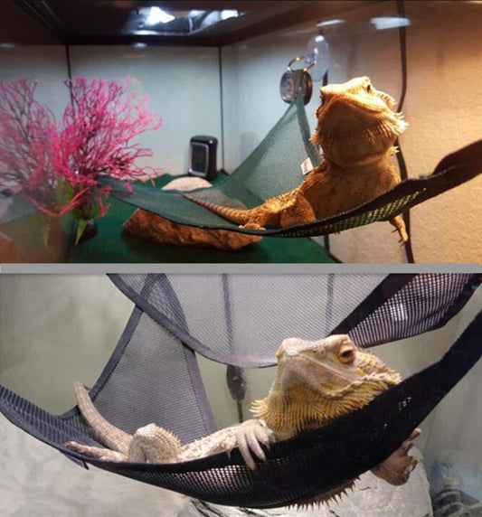 KFX-4420541 Reptile Hammock for Lizards and Snakes - Versatile Sucker Design, Set of 2