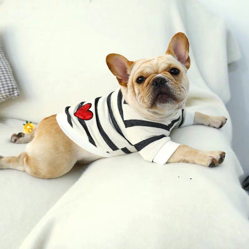 KFX-4428861 Casual Cloth T-Shirt for Puppies - Summer Style, Universal Fit