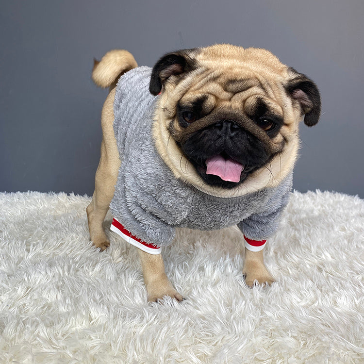 KFX-4429757 Casual Cotton Pet Sweater in Blue for Dogs - Various Sizes Available