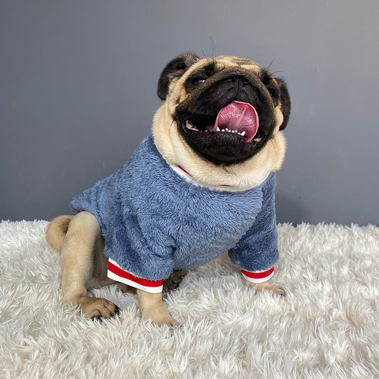 KFX-4429757 Casual Cotton Pet Sweater in Blue for Dogs - Various Sizes Available