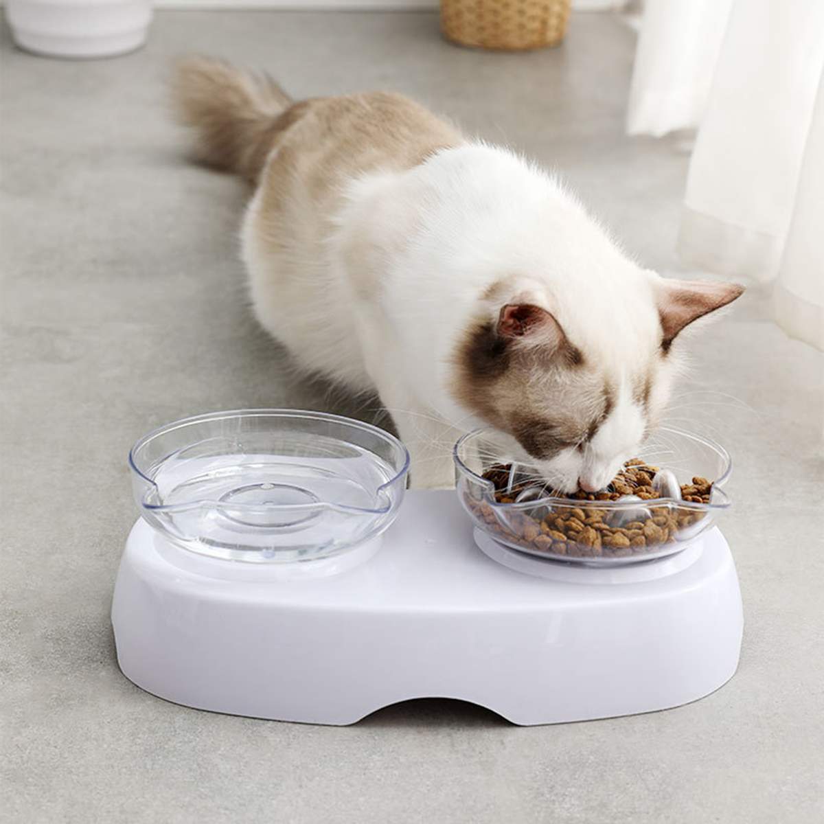 KFX-4430653 Cervical Spine Support Double Cat Bowl with Oblique Mouth Design