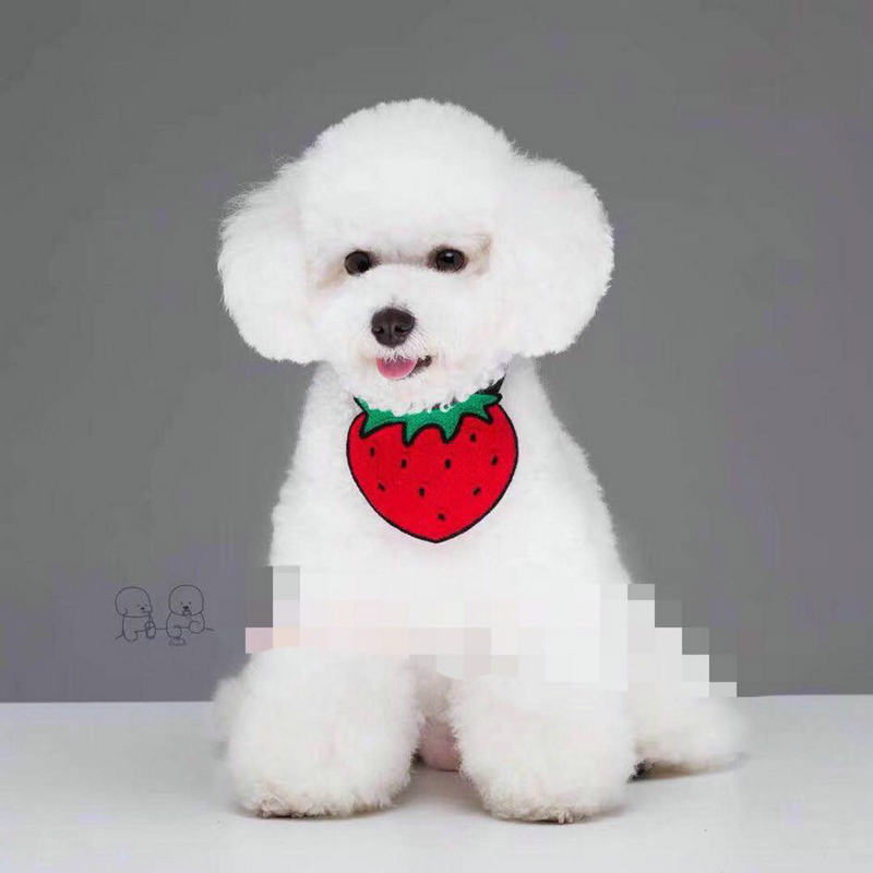 KFX-4432061 Casual Cartoon Pet Bib with Machine Cotton and Embroidery for General Use