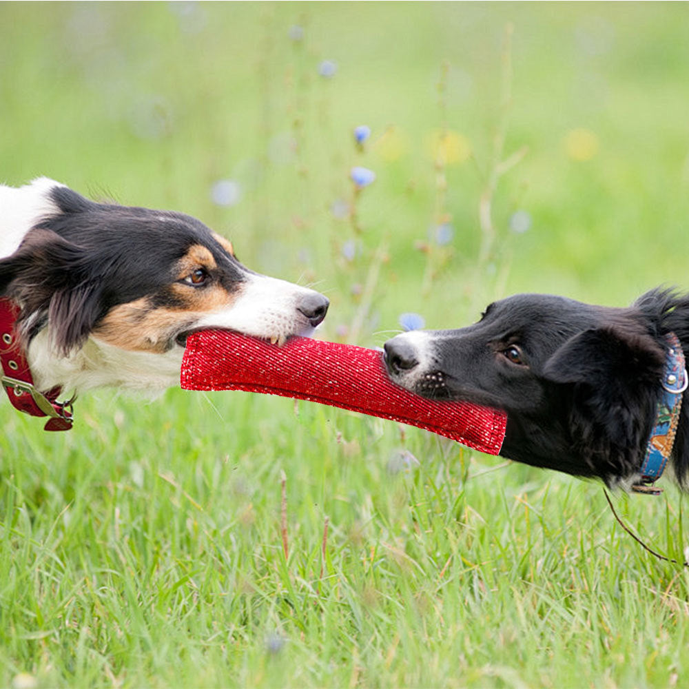 KFX-4433085 Durable Interactive Dog Tug Chew Stick for Teeth Cleaning - Great for Medium Breeds