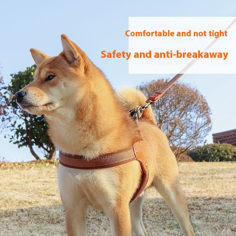 KFX-4433725 Small Dog Chest and Back Leash with Engraved Plaque - Durable Cloth Pet Harness