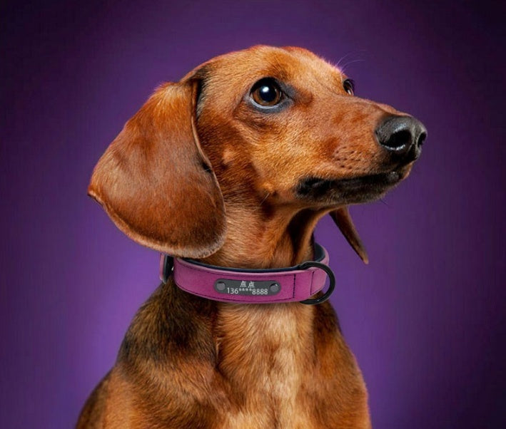 KFX-4436285 Custom Microfiber Leather Dog Tag Identity Card with Adjustable Collar and Double D Buckle