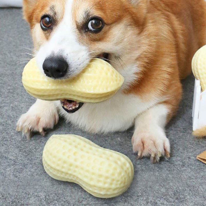 KFX-4437693 Durable Peanut Squeaky Chew Toy for Small to Medium Dogs and Puppies - Eco-Friendly Rubber with Tooth Cleaning Features