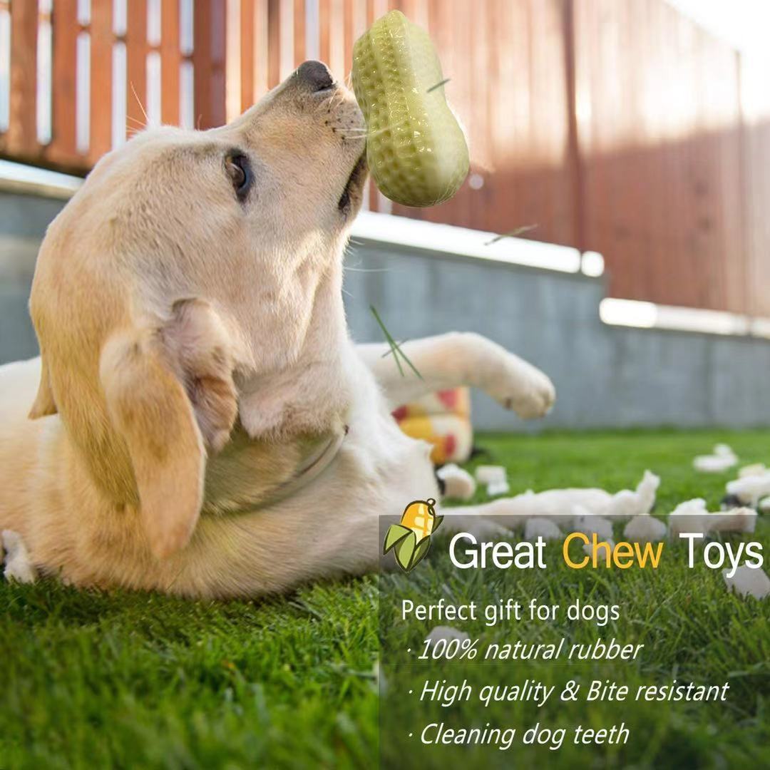 KFX-4437693 Durable Peanut Squeaky Chew Toy for Small to Medium Dogs and Puppies - Eco-Friendly Rubber with Tooth Cleaning Features
