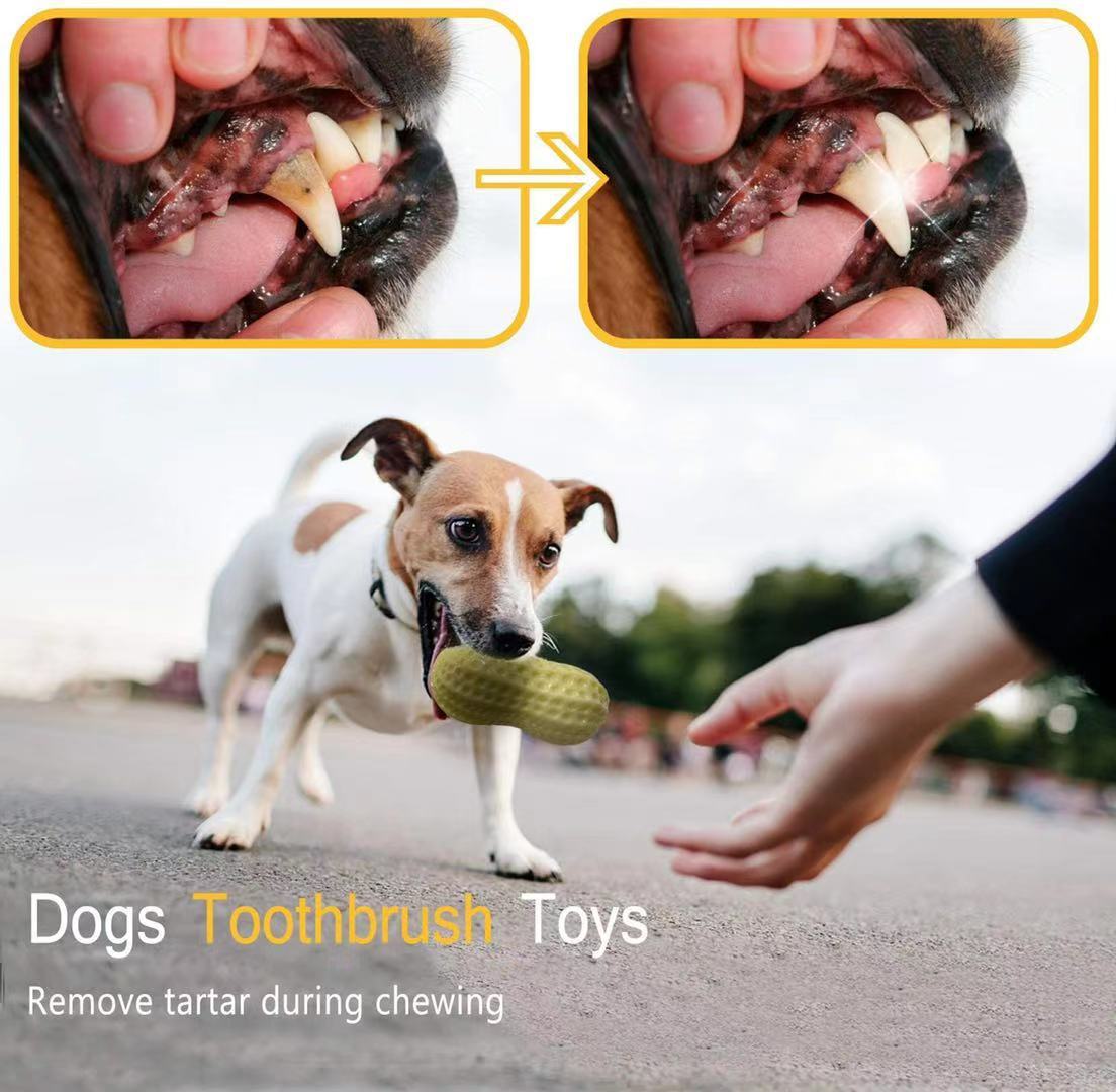KFX-4437693 Durable Peanut Squeaky Chew Toy for Small to Medium Dogs and Puppies - Eco-Friendly Rubber with Tooth Cleaning Features