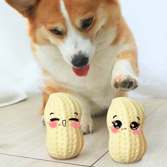 KFX-4437693 Durable Peanut Squeaky Chew Toy for Small to Medium Dogs and Puppies - Eco-Friendly Rubber with Tooth Cleaning Features