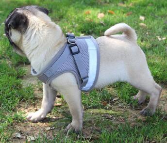 KFX-4439485 Reflective Mesh Dog Harness and Leash Set in Multiple Colors - Comfortable and Breathable Design, Sizes S to XL