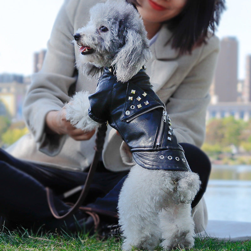 KFX-4444349 Stylish PU Leather Dog Jacket with Rivets for Small to Medium Breeds