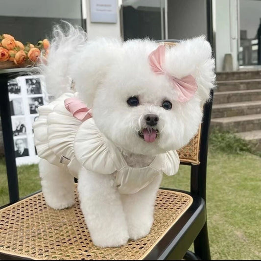 KFX-4444733 Breathe Easy with the Streamer Gauze Skirt for Teddy and Bichon Dogs & Cats