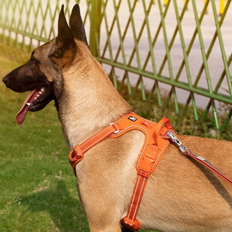 KFX-4445245 Reflective Polyester Dog Harness with Hand-Holding Rope - Multiple Sizes Available