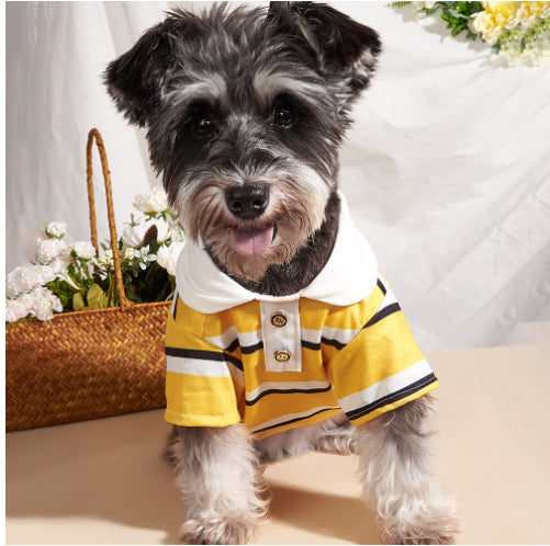 KFX-4448317 Colorful Striped Polo Shirt for Pets - Available in XS to XL Sizes