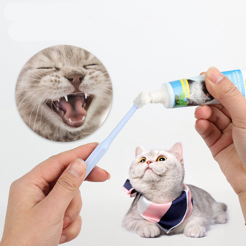 KFX-4459325 360-Degree Pet Oral Care Toothbrush in Multiple Head Shapes and Colors