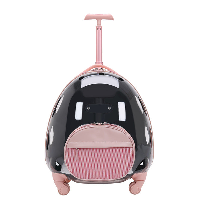 KFX-4463677 Transparent Travel Pet Suitcase for Dogs and Cats, Medium Soft PVC, Capacity 12.50kg