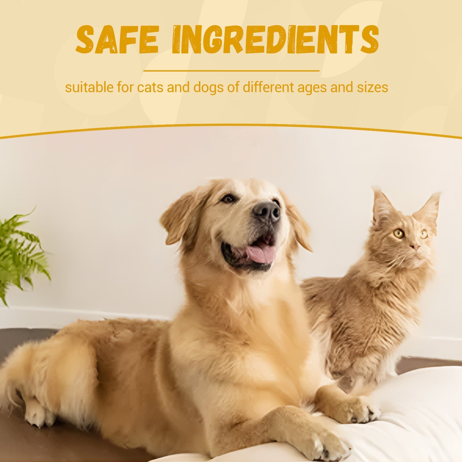 KFX-4465085 Pet Nutrition Supplement for Enhanced Energy and Vitality - 60ml