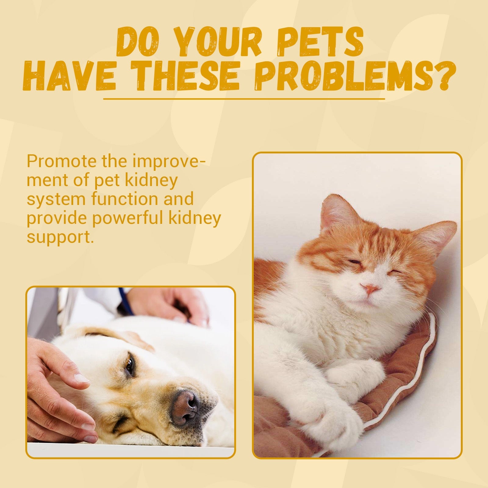 KFX-4465085 Pet Nutrition Supplement for Enhanced Energy and Vitality - 60ml