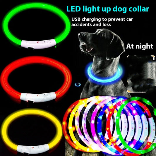 KFX-4465213 USB Rechargeable LED Glowing Pet Collar - Multiple Color Options Available