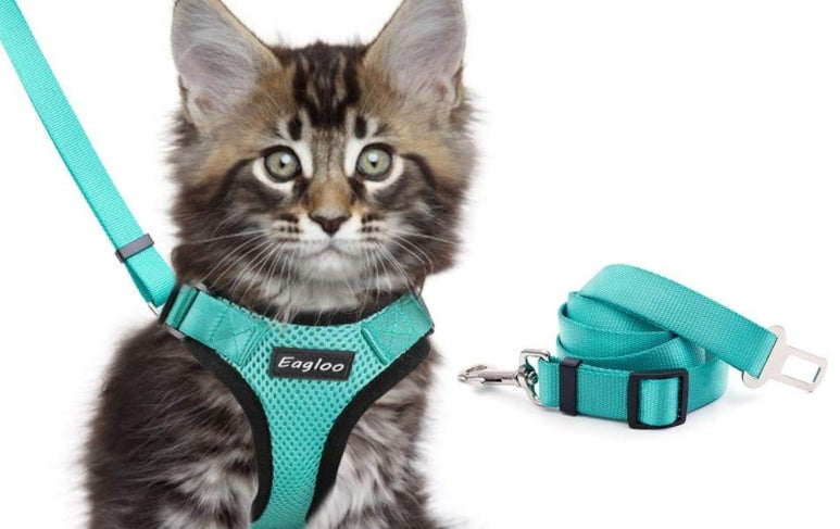 KFX-4466493 Adjustable Escape Proof Cat Vest Harness with Soft Mesh and Car Seat Belt Adapter