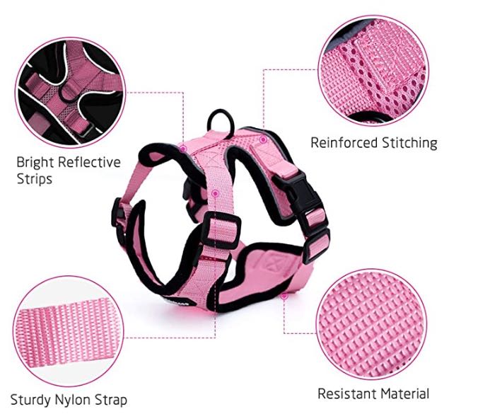 KFX-4466493 Adjustable Escape Proof Cat Vest Harness with Soft Mesh and Car Seat Belt Adapter