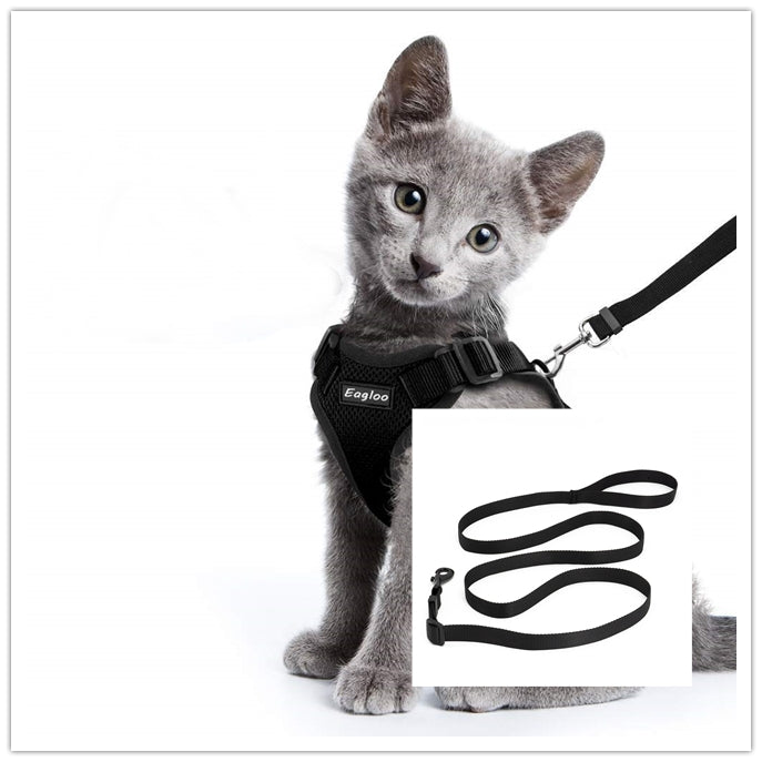 KFX-4466493 Adjustable Escape Proof Cat Vest Harness with Soft Mesh and Car Seat Belt Adapter