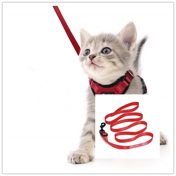 KFX-4466493 Adjustable Escape Proof Cat Vest Harness with Soft Mesh and Car Seat Belt Adapter