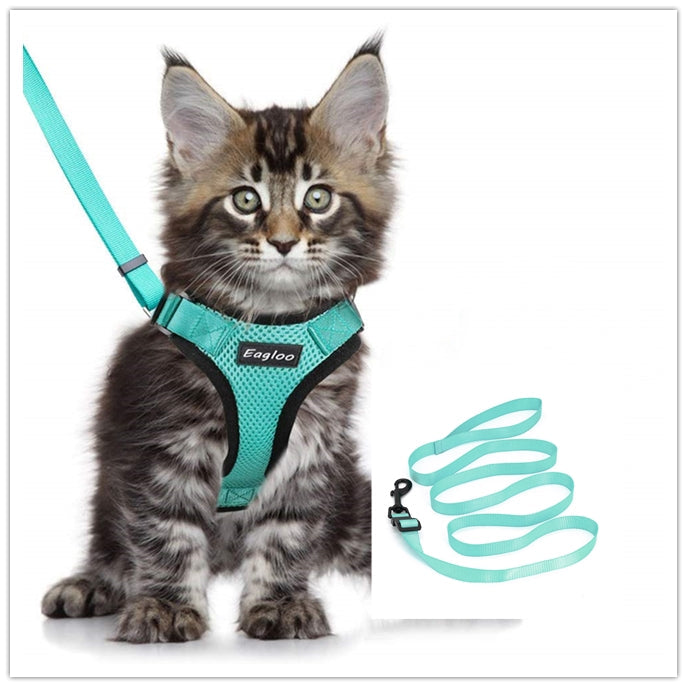 KFX-4466493 Adjustable Escape Proof Cat Vest Harness with Soft Mesh and Car Seat Belt Adapter