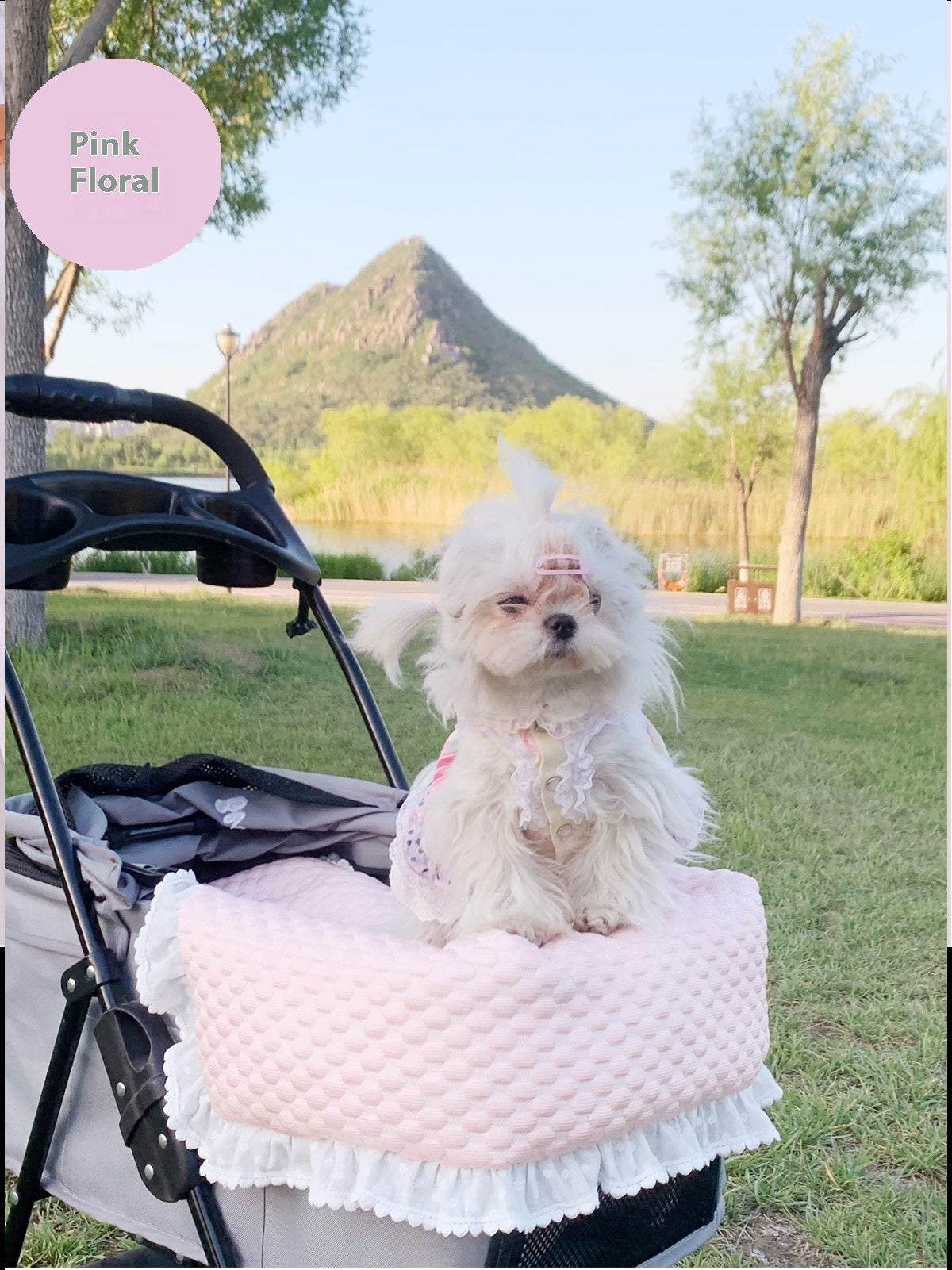 KFX-4475197 Washable Pet Stroller Cushion Set with Removable Pad and Pillow for Cats and Dogs in Various Designs