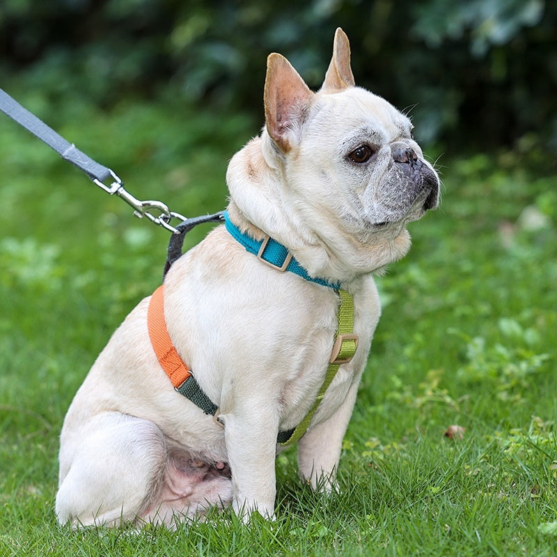 KFX-4488253 H-Shaped Six-Color PET Chest and Back Strap for Dogs
