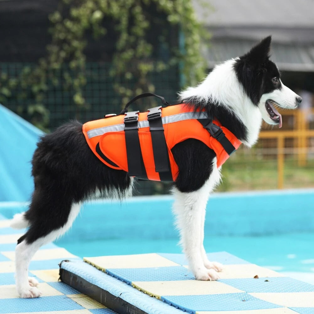 KFX-4488637 Reflective Dog Life Jacket with Double Layer Buoyancy and Easy-Fit Velcro Closure