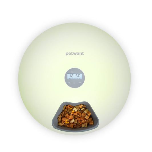 KFX-4490429 Automatic Six-Meal Pet Feeder for Cats and Dogs with USB Power Supply