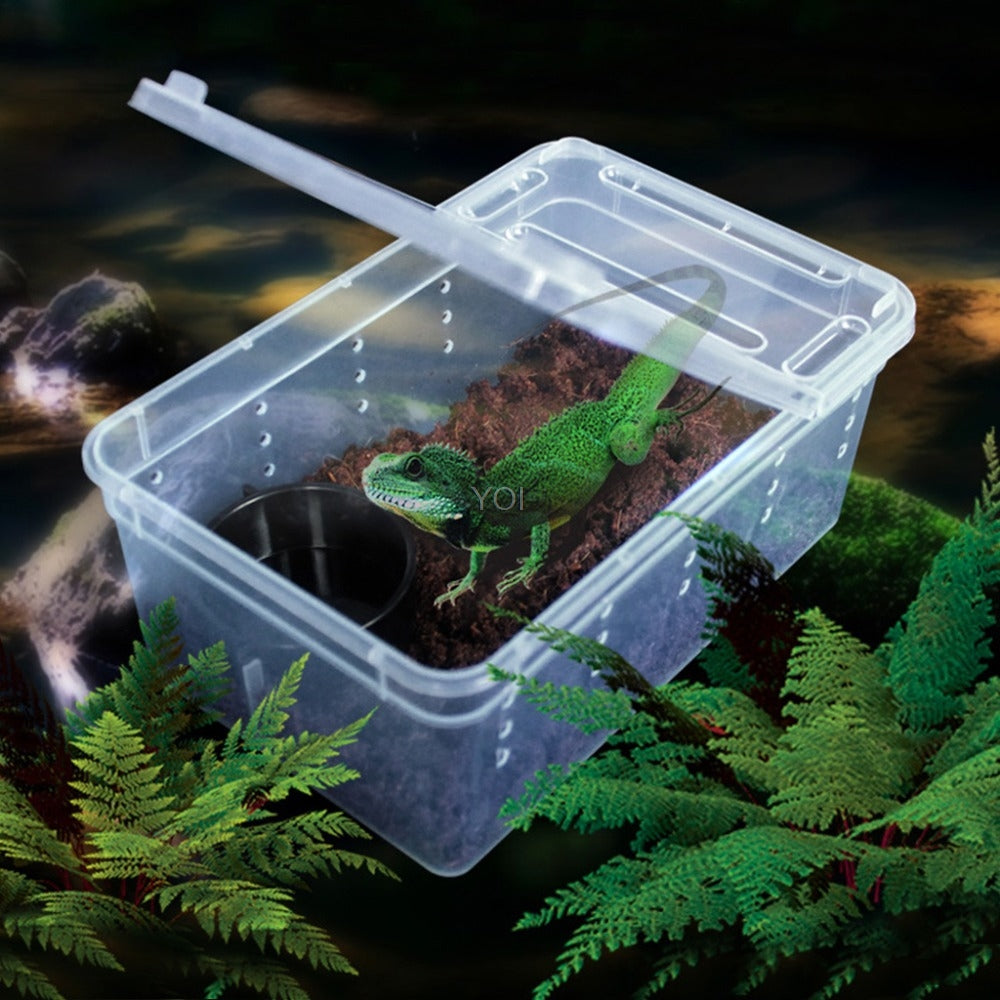 KFX-4493501 Transparent Plastic Reptile Feeding Box for Transporting and Raising Amphibians