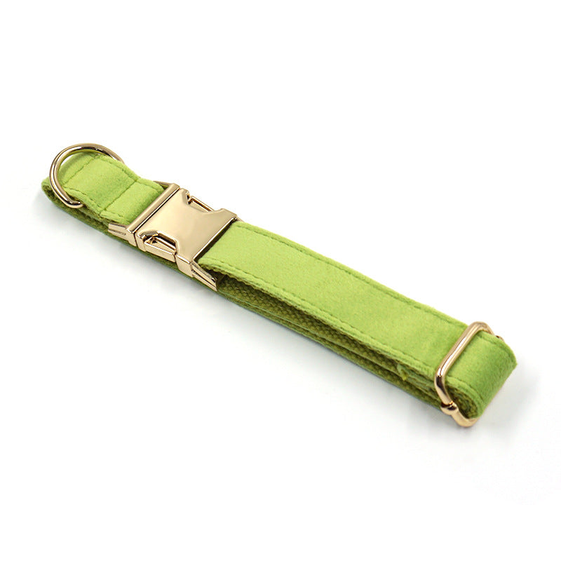 KFX-4497981 Cross-border Matcha Green Velvet Dog Collar with Gold Buckle, Scalable Sizes XS-XL