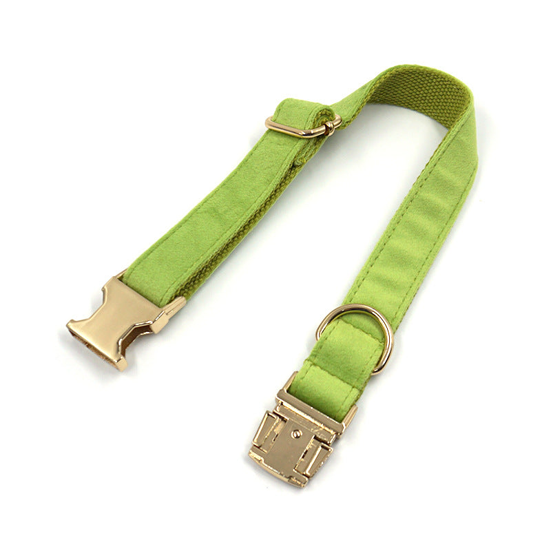 KFX-4497981 Cross-border Matcha Green Velvet Dog Collar with Gold Buckle, Scalable Sizes XS-XL