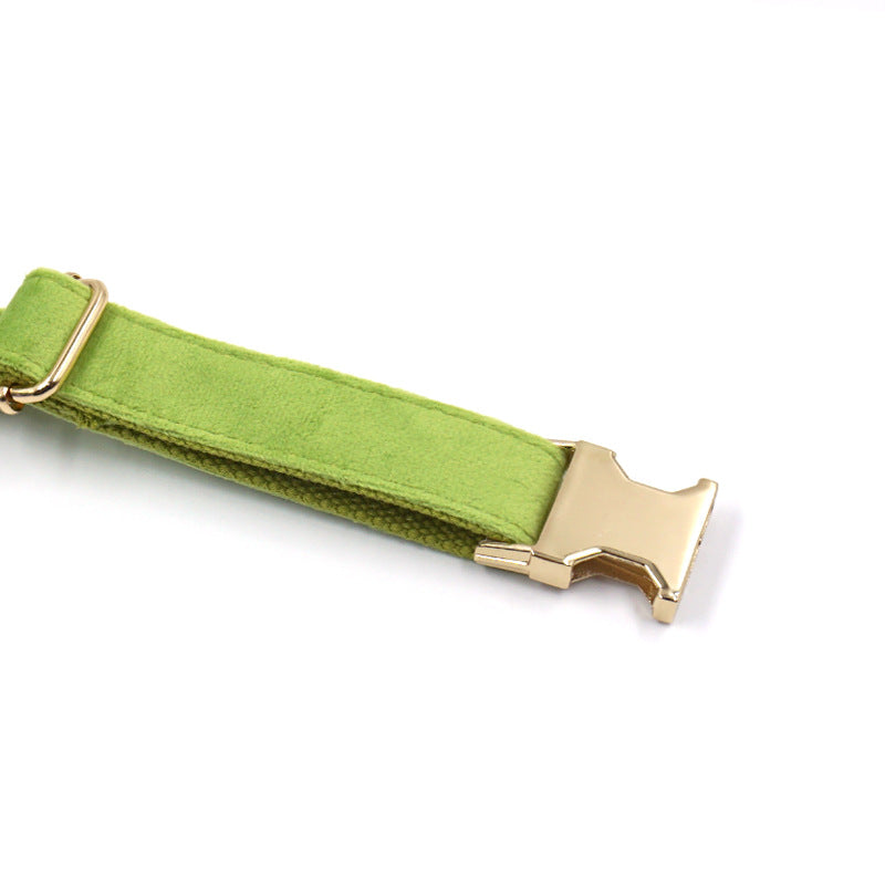 KFX-4497981 Cross-border Matcha Green Velvet Dog Collar with Gold Buckle, Scalable Sizes XS-XL