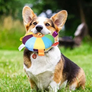KFX-4498621 Durable Bite-Resistant Dog Toy with Sounds - Variety of Fun Designs
