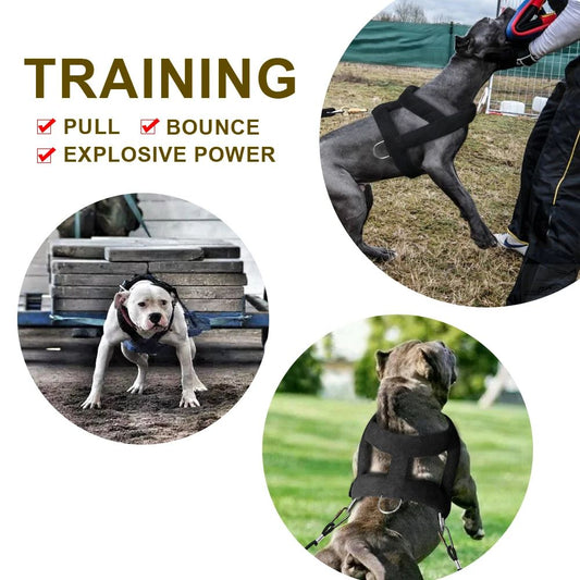 KFX-4499261 Soft Padded Weight Pulling Harness for Dogs, Adjustable Chest Strap (58-80cm)