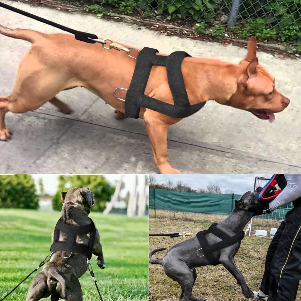 KFX-4499261 Soft Padded Weight Pulling Harness for Dogs, Adjustable Chest Strap (58-80cm)