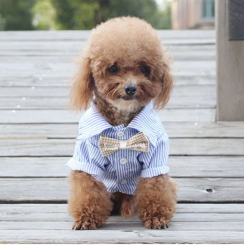 KFX-4500541 Breathable Thin Style Shirt for Small and Medium Dogs - Perfect for Teddy, Bichon, Pomeranian