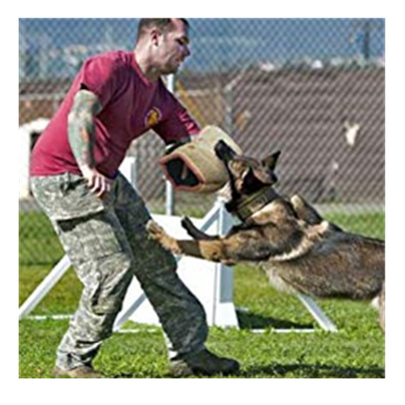 KFX-4500797 Durable Dog Training Bite Sleeve with Elbow Protection and Internal Handle