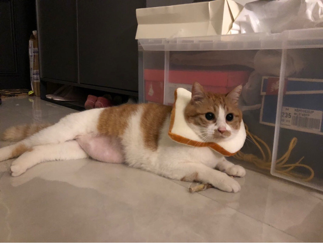 KFX-4502205 Cute Cartoon Bread Slice Headgear Accessory - Soft Cloth Material, Multiple Sizes Available
