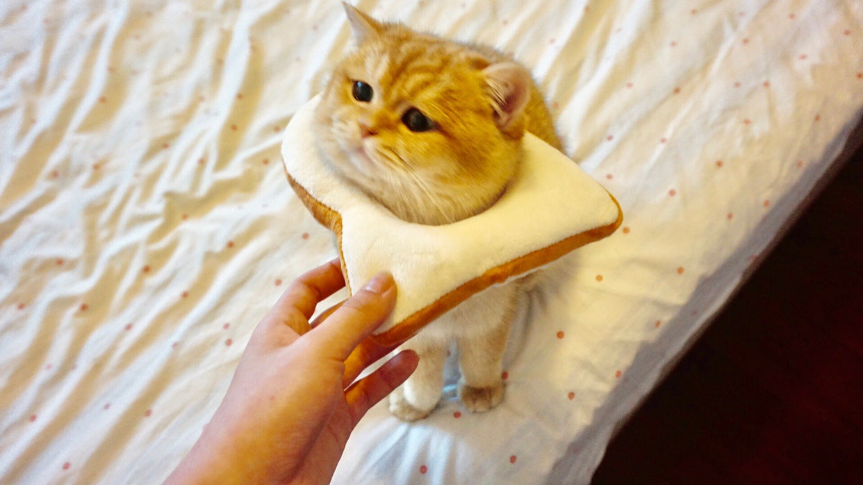 KFX-4502205 Cute Cartoon Bread Slice Headgear Accessory - Soft Cloth Material, Multiple Sizes Available