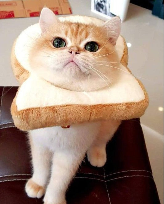 KFX-4502205 Cute Cartoon Bread Slice Headgear Accessory - Soft Cloth Material, Multiple Sizes Available