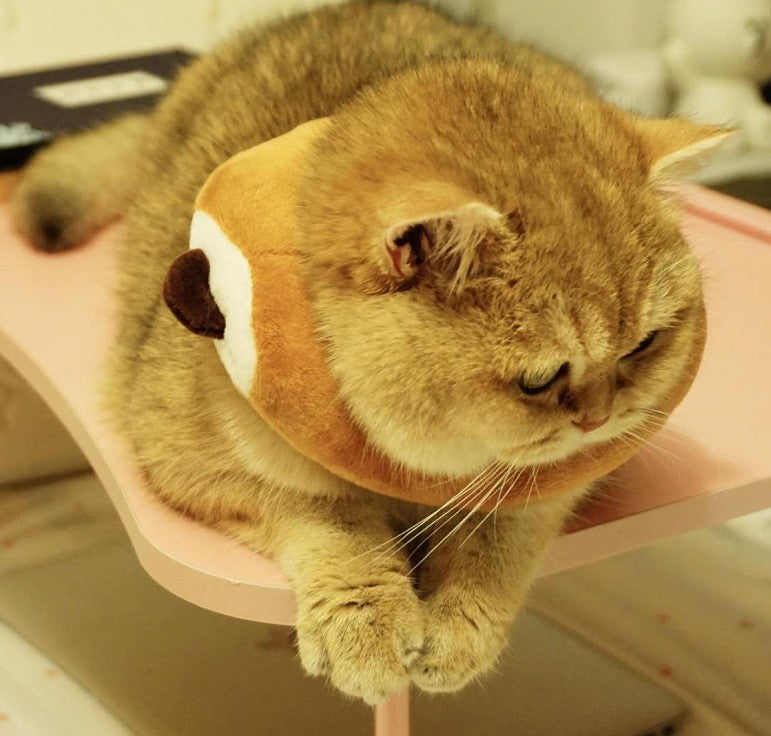 KFX-4502205 Cute Cartoon Bread Slice Headgear Accessory - Soft Cloth Material, Multiple Sizes Available