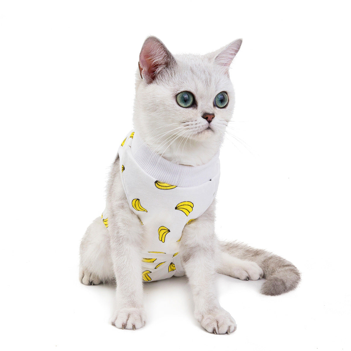 KFX-4504125 Breathable Cotton Physiological Pants for Pets in Fun Colors